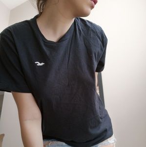 Hollister tee-shirt